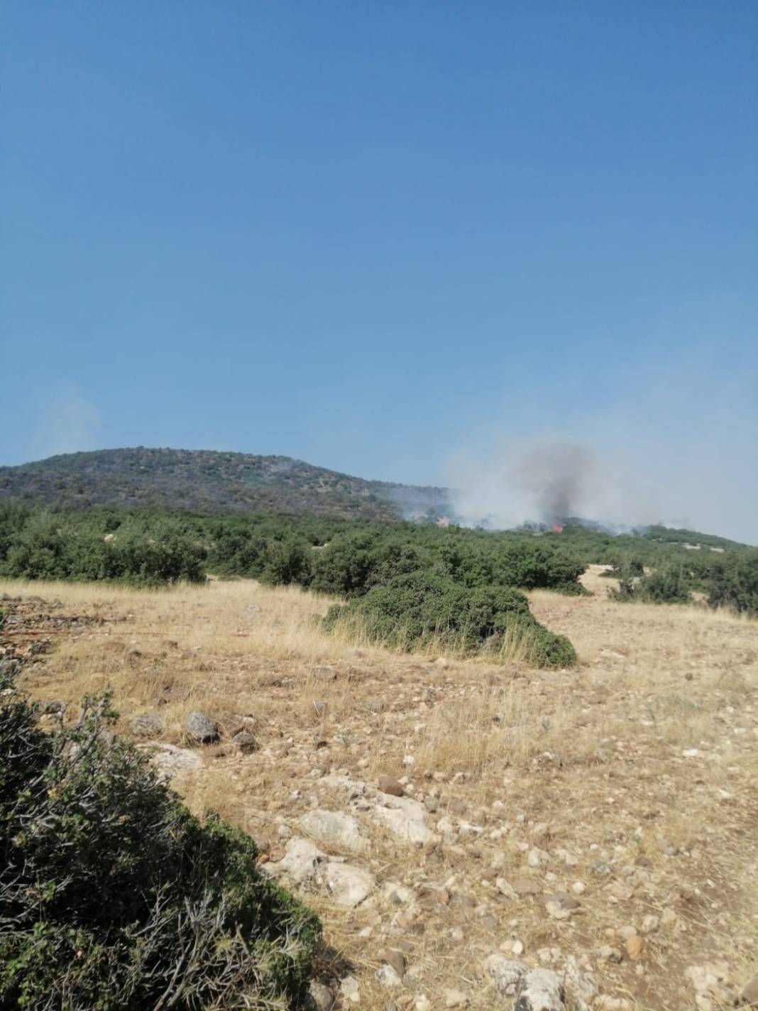 Kahramanmaraş'taki orman yangını kontrol altına alındı 3